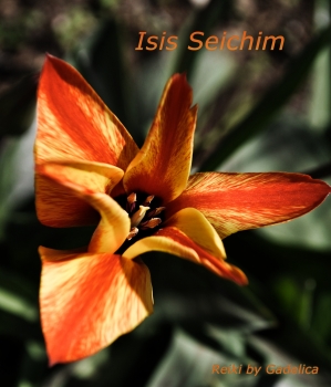 Isis Seichim